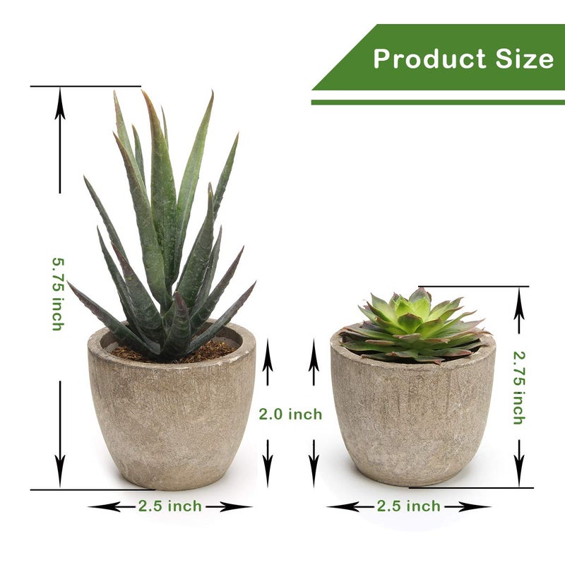 Coitak Artificial Succulent Plants Potted, Assorted Decorative Faux Succulent Potted Fake Cactus Cacti Plants with Pots, Set of 5 - Image 2